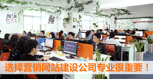 選擇建網(wǎng)站公司專業(yè)很重要！